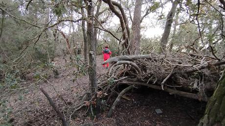 De Baixador de Vallvidrera al Turó dels Mussols | Parc de Collserola