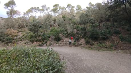 De Baixador de Vallvidrera al Turó dels Mussols | Parc de Collserola
