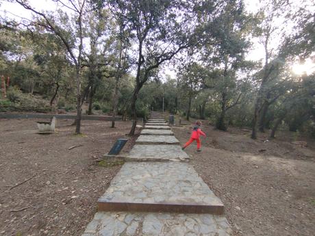 De Baixador de Vallvidrera al Turó dels Mussols | Parc de Collserola