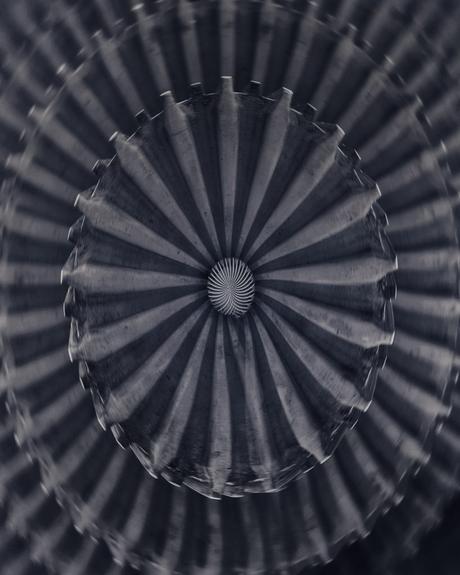 Metalic Flower #photography