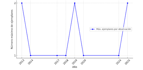 Fochas en la Desembocadura del Besòs