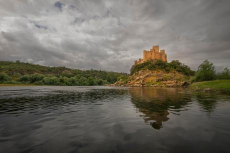 Il Venerdí di Photosatriani N. 509