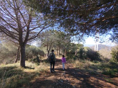 De Vallvidrera a la Font de la SEAS y la Font del Rector | Parc de Collserola