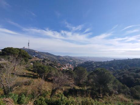 De Vallvidrera a la Font de la SEAS y la Font del Rector | Parc de Collserola