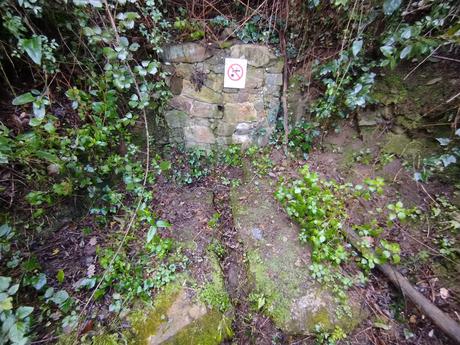 De Vallvidrera a la Font de la SEAS y la Font del Rector | Parc de Collserola