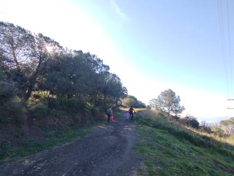 De Vallvidrera a la Font de la SEAS y la Font del Rector | Parc de Collserola