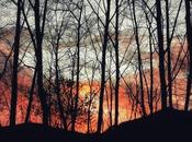 Made Heaven #photography