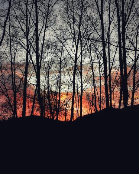 Made in Heaven 141 #photography