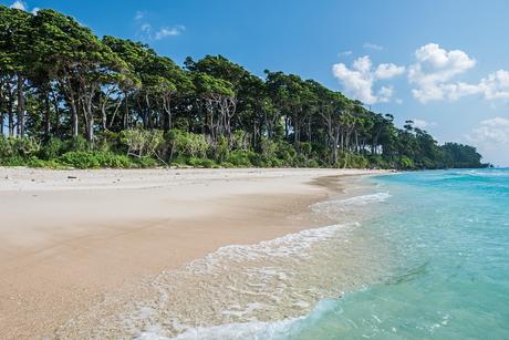 10 mejores islas para visitar en febrero Islas Andaman