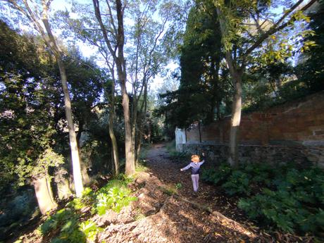 Del Tibidabo al Baixador de Vallvidrera pasando por la Font del Canet y el Camí de la Sabina | Parc de Collserola