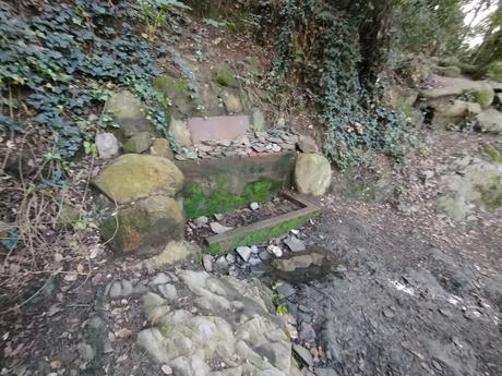 Del Tibidabo al Baixador de Vallvidrera pasando por la Font del Canet y el Camí de la Sabina | Parc de Collserola