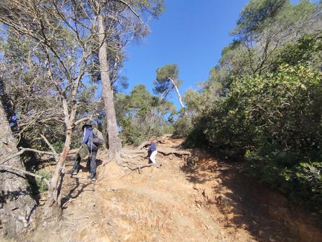 Del Tibidabo al Baixador de Vallvidrera pasando por la Font del Canet y el Camí de la Sabina | Parc de Collserola