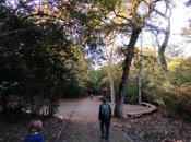 Tibidabo Baixador Vallvidrera pasando Font Canet Camí Sabina Parc Collserola