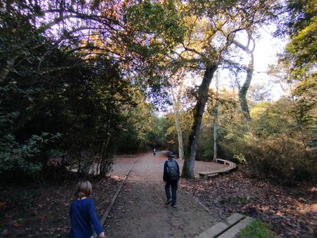 Del Tibidabo al Baixador de Vallvidrera pasando por la Font del Canet y el Camí de la Sabina | Parc de Collserola