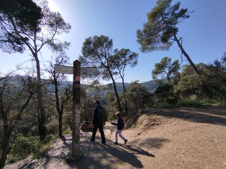 Del Tibidabo al Baixador de Vallvidrera pasando por la Font del Canet y el Camí de la Sabina | Parc de Collserola