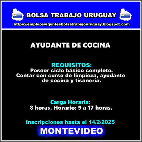 AYUDANTE DE COCINA AYUDANTE DE COCINA