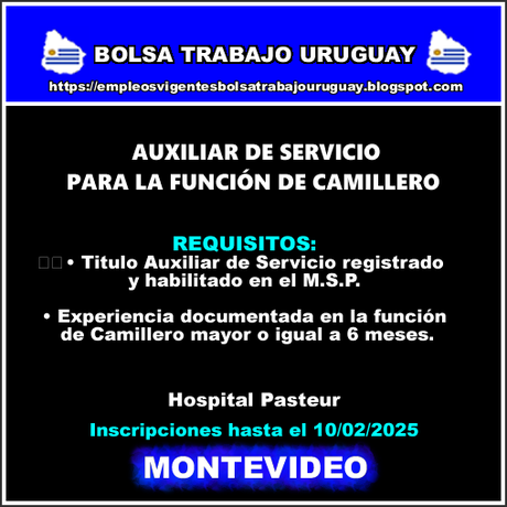 AUXILIAR DE SERVICIO PARA LA FUNCIÓN DE CAMILLERO