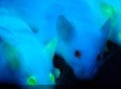 biología adelantó millones años evolución creó proteína existía