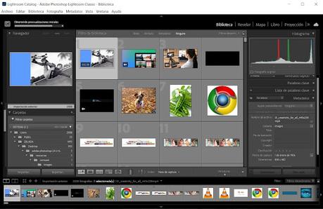 Adobe Lightroom para windows, potente editor fotográfico para lucirte como un profesional Adobe Lightroom para windows, potente editor fotográfico para lucirte como un profesional