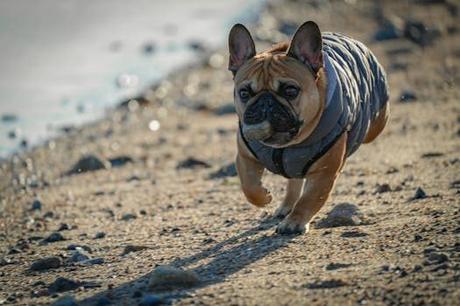 Todo lo que necesitas saber sobre isla Santiago Cabo Verde en un solo lugar. Todo lo que necesitas saber sobre isla Santiago Cabo Verde en un solo lugar.
