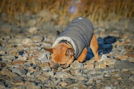 Todo lo que necesitas saber sobre isla Santiago Cabo Verde en un solo lugar. Todo lo que necesitas saber sobre isla Santiago Cabo Verde en un solo lugar.
