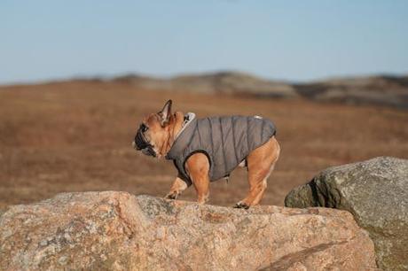 Todo lo que necesitas saber sobre isla Santiago Cabo Verde en un solo lugar. Todo lo que necesitas saber sobre isla Santiago Cabo Verde en un solo lugar.