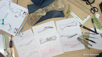 La ilustración científica como puente entre ciencia y arte por Renato Nakazone La ilustración científica como puente entre ciencia y arte por Renato Nakazone