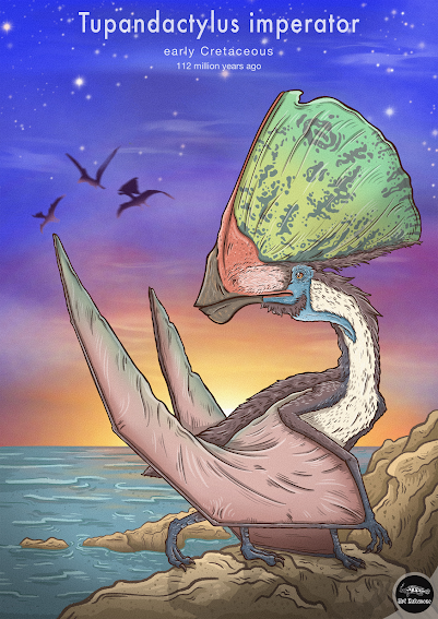 La ilustración científica como puente entre ciencia y arte por Renato Nakazone