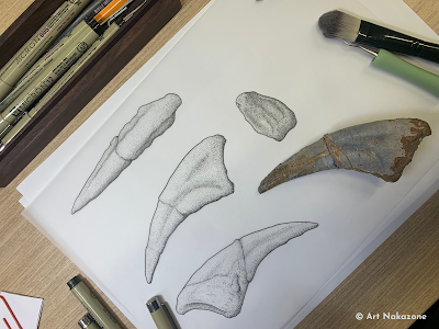 La ilustración científica como puente entre ciencia y arte por Renato Nakazone La ilustración científica como puente entre ciencia y arte por Renato Nakazone