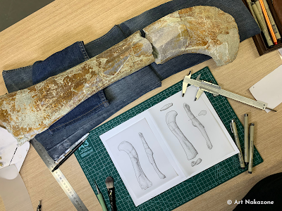 La ilustración científica como puente entre ciencia y arte por Renato Nakazone La ilustración científica como puente entre ciencia y arte por Renato Nakazone