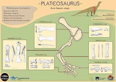 La ilustración científica como puente entre ciencia y arte por Renato Nakazone