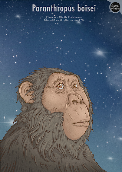 La ilustración científica como puente entre ciencia y arte por Renato Nakazone La ilustración científica como puente entre ciencia y arte por Renato Nakazone