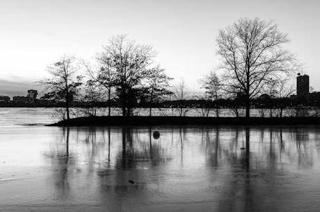 Explorando ms charles dickens: una experiencia única y emocionante Explorando ms charles dickens: una experiencia única y emocionante