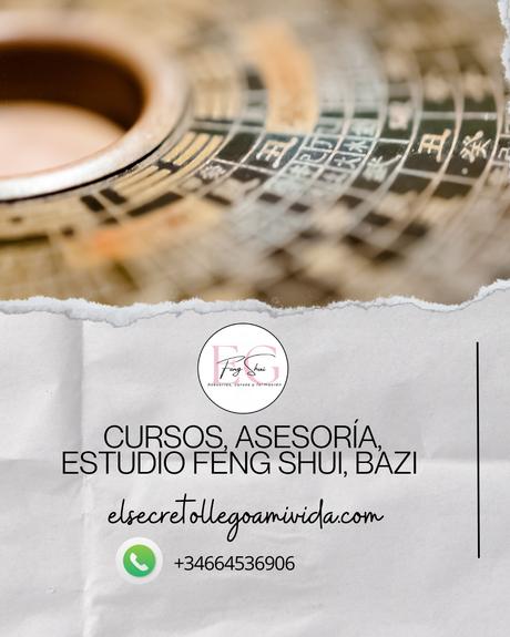 🈵 3 pasos para colocar las orientaciones en el plano de tu casa o piso.🧭