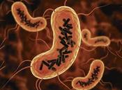 Descubren nueva entidad biológica habita cuerpo humano