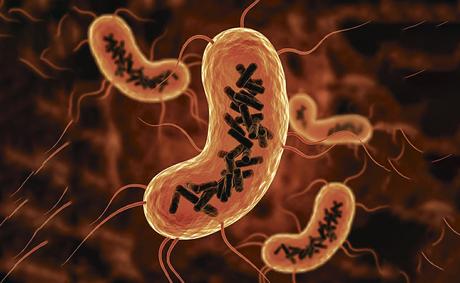 Descubren una nueva entidad biológica que habita en el cuerpo humano