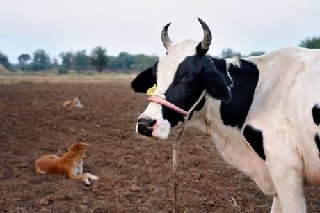 Sumérgete en la magia de pueblos con encanto Tenerife: experiencias inolvidables