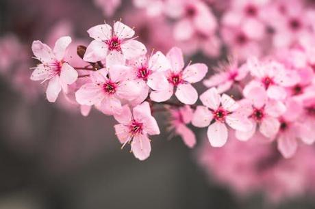 Todo lo que necesitas saber sobre pueblos bonitos cerca de Cadavedo en un solo lugar. Todo lo que necesitas saber sobre pueblos bonitos cerca de Cadavedo en un solo lugar.