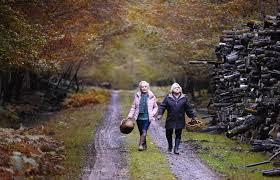 La infiltrada + Cuando cae el otoño
