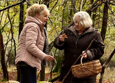 La infiltrada + Cuando cae el otoño