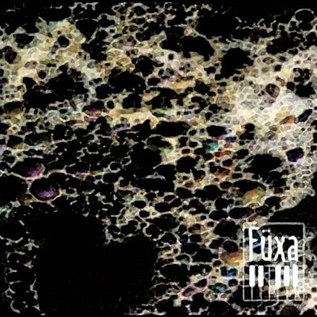 Füxa. Very Well Organized. Edición Rockarte Füxa. Very Well Organized. Edición Rockarte