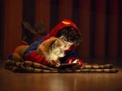 Explorando Soria perro: experiencia única emocionante