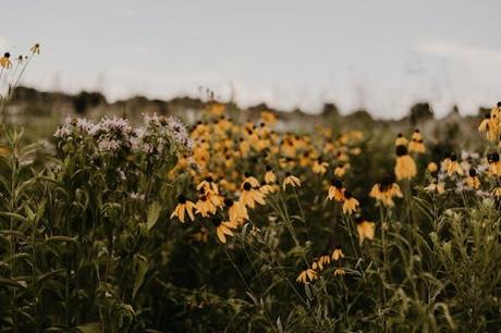 Sumérgete en la magia de sasan: experiencias inolvidables Sumérgete en la magia de sasan: experiencias inolvidables