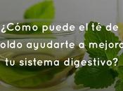 ¿Cómo puede boldo ayudarte mejorar sistema digestivo?