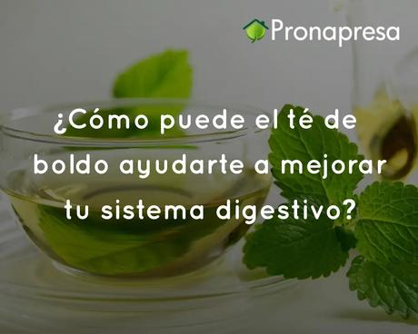 ¿Cómo puede el té de boldo ayudarte a mejorar tu sistema digestivo?