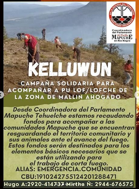 “¡Apaguen el fuego ya!”: actividades en todo el país para mañana