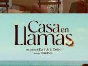 "Casa llamas" (Dani Orden, 2024)