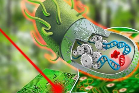 Biología sintética, la revolución para reimaginar la vida