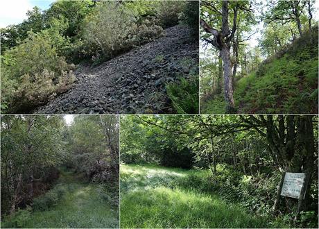 Degaña-Las Ḷḷagunas de Fasguéu-El Veigardón-El Mosqueiru Faro-Piedrafita