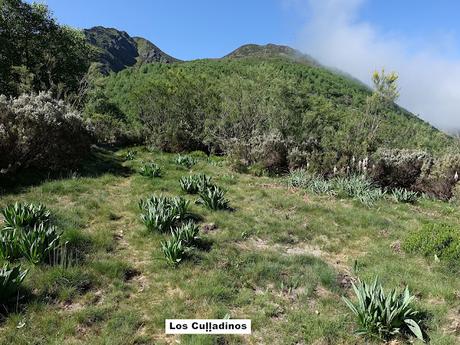 Degaña-Las Ḷḷagunas de Fasguéu-El Veigardón-El Mosqueiru Faro-Piedrafita